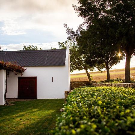 Vineyard Cottage At Bosman Wines Wellington Exterior foto