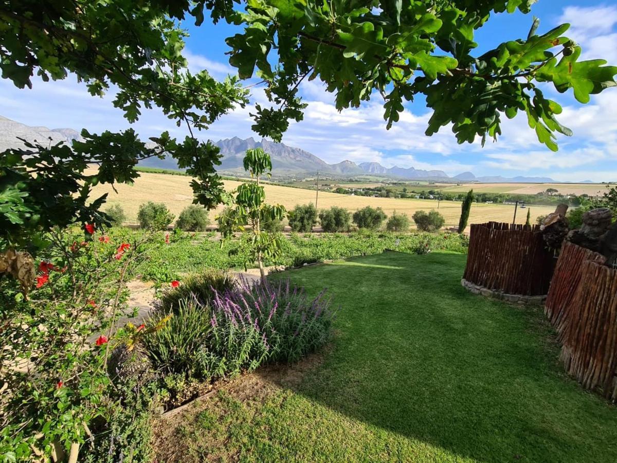 Vineyard Cottage At Bosman Wines Wellington Exterior foto