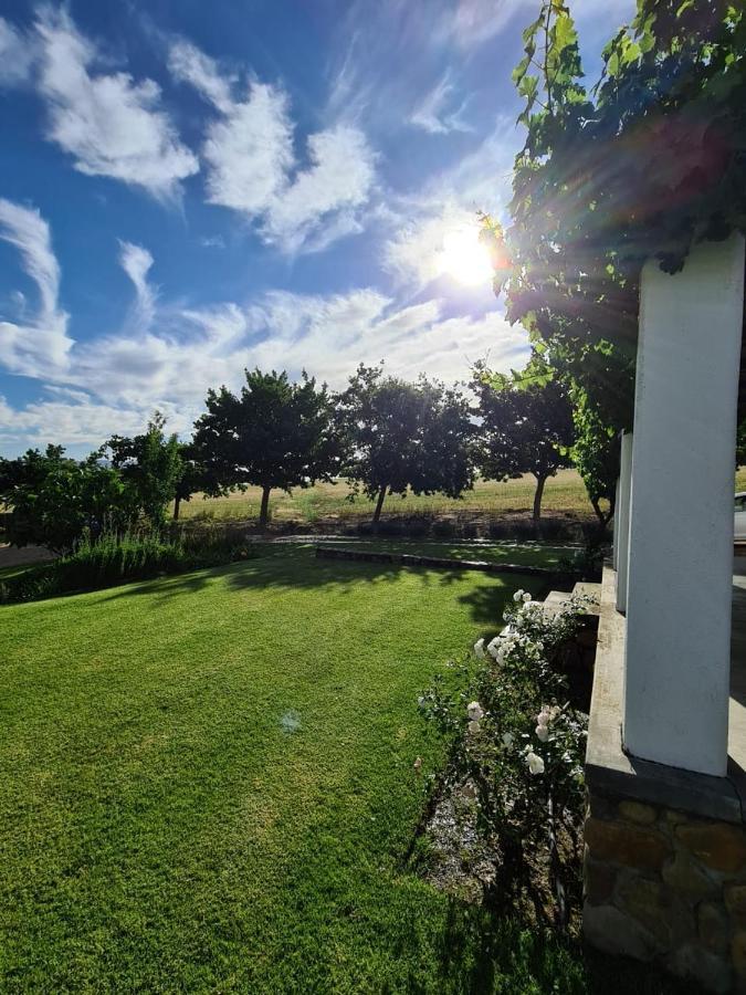Vineyard Cottage At Bosman Wines Wellington Exterior foto