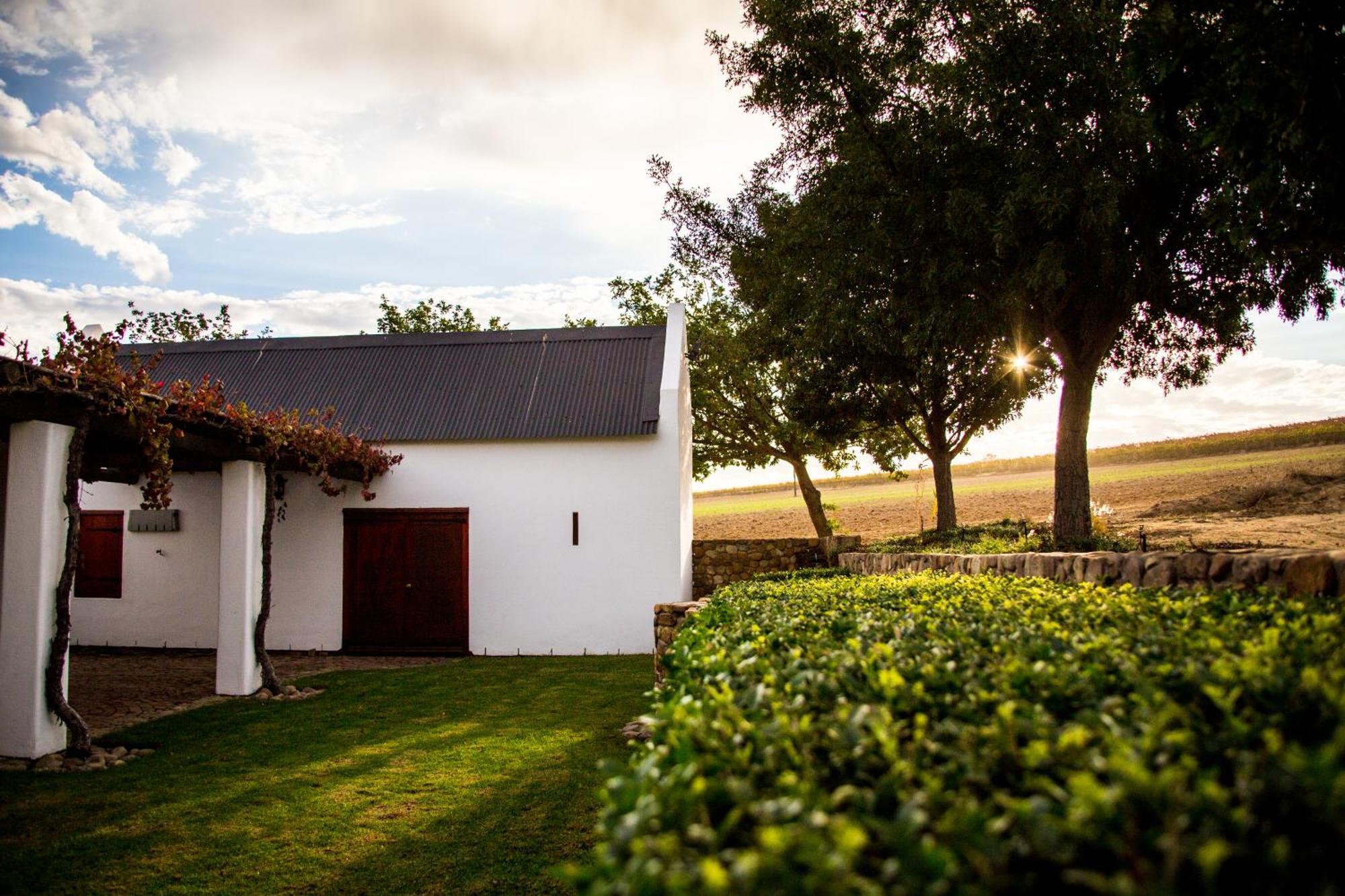 Vineyard Cottage At Bosman Wines Wellington Exterior foto