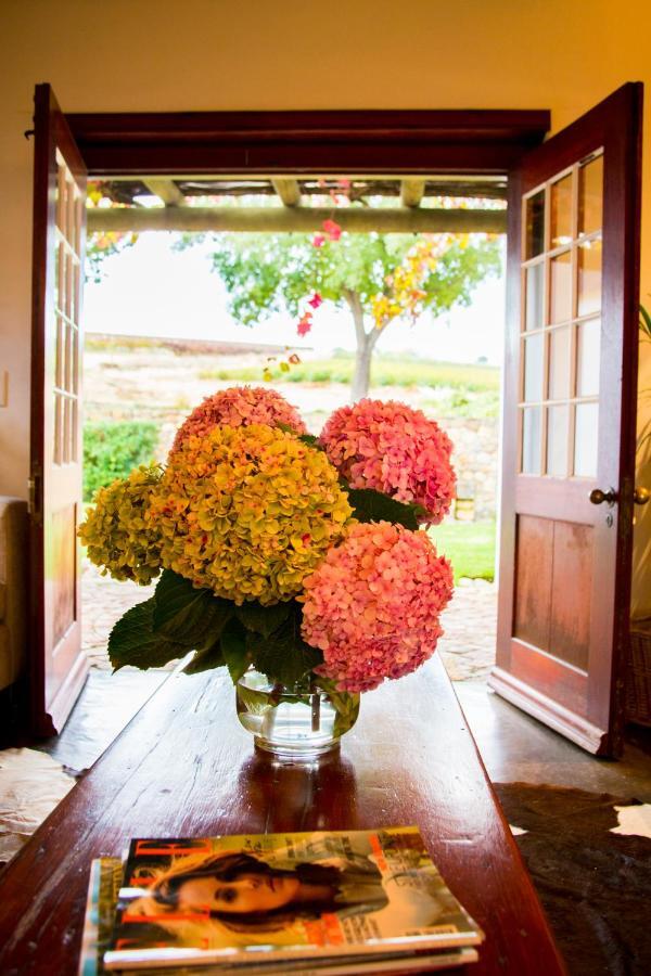 Vineyard Cottage At Bosman Wines Wellington Exterior foto